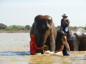 Bath time for Jaeb and Warrin.