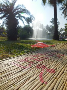 My mat in the sun in the park.
