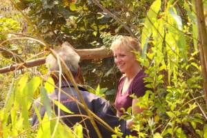 Working with Pi Pong to cut down eucalyptus trees