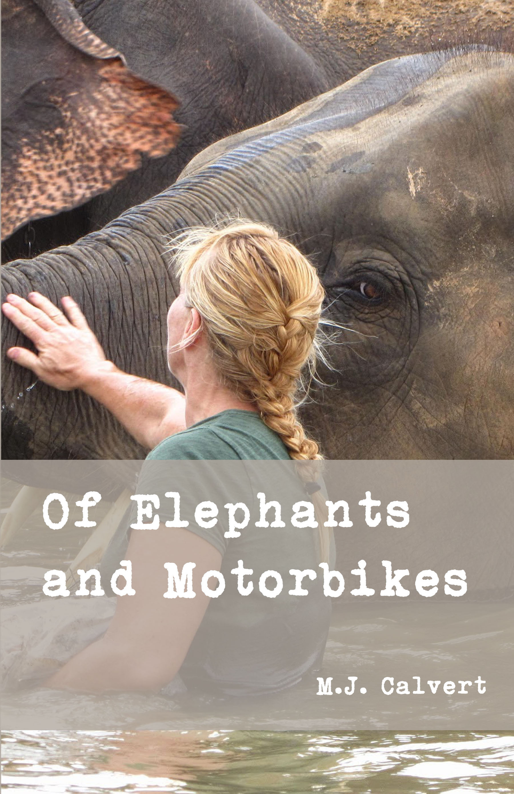 Book Cover - front only